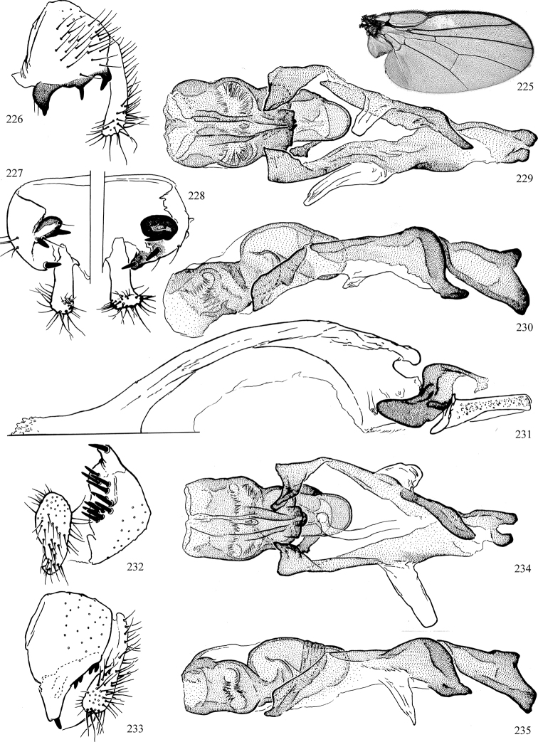 Figures 225–235.