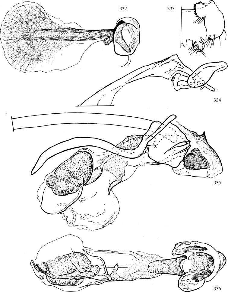 Figures 332–336.