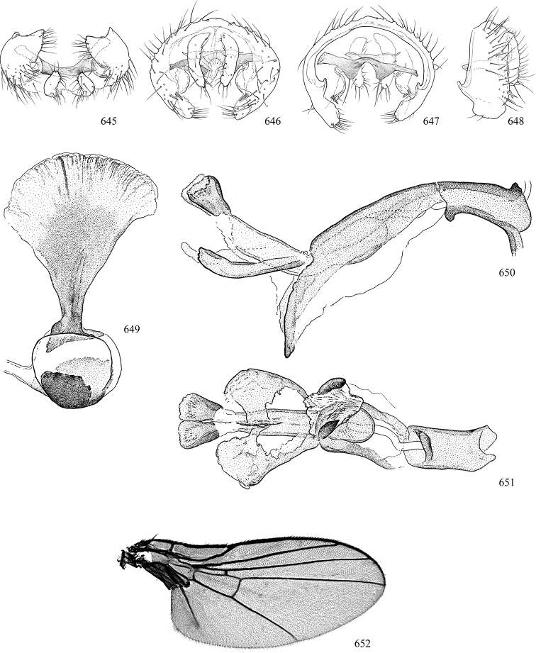 Figures 645–652.