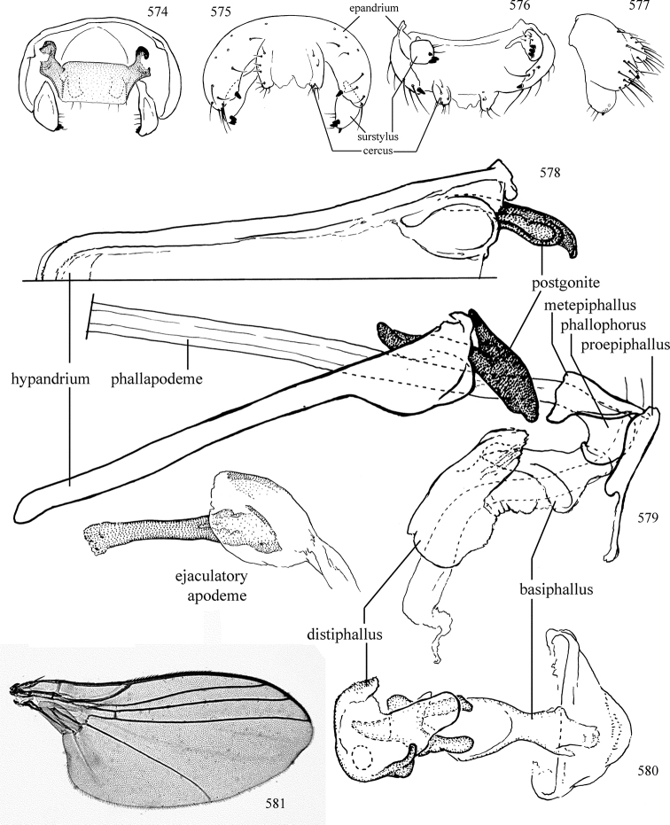 Figures 574–581.