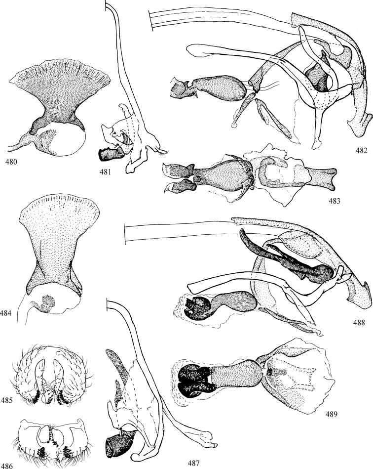 Figures 480–489.