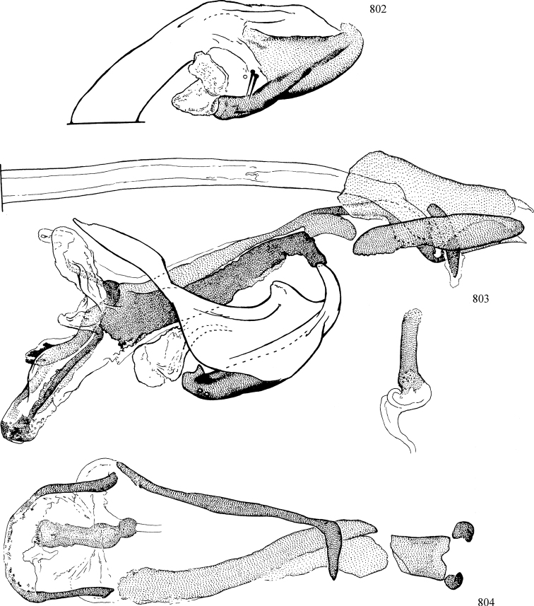 Figures 802–804.