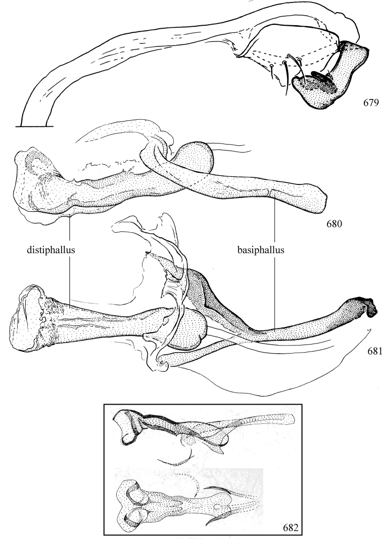 Figures 679–682.