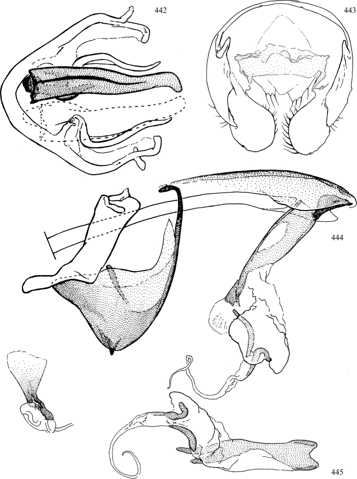 Figures 442–445.