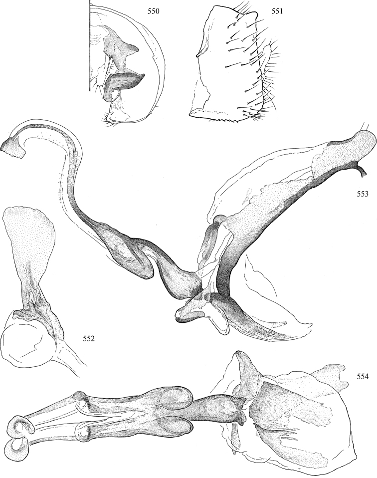 Figures 550–554.