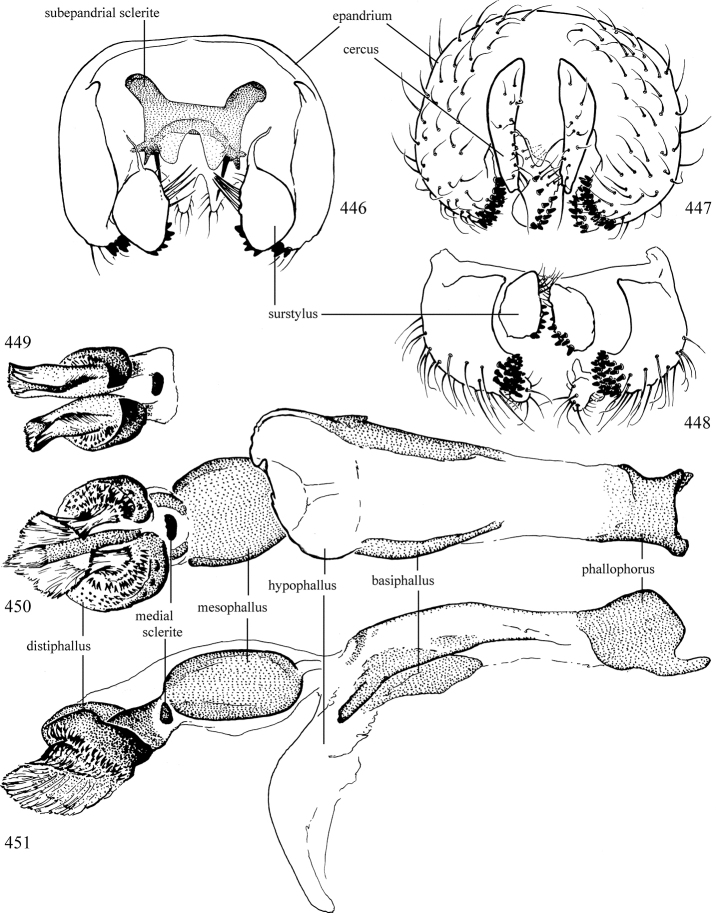 Figures 446–451.