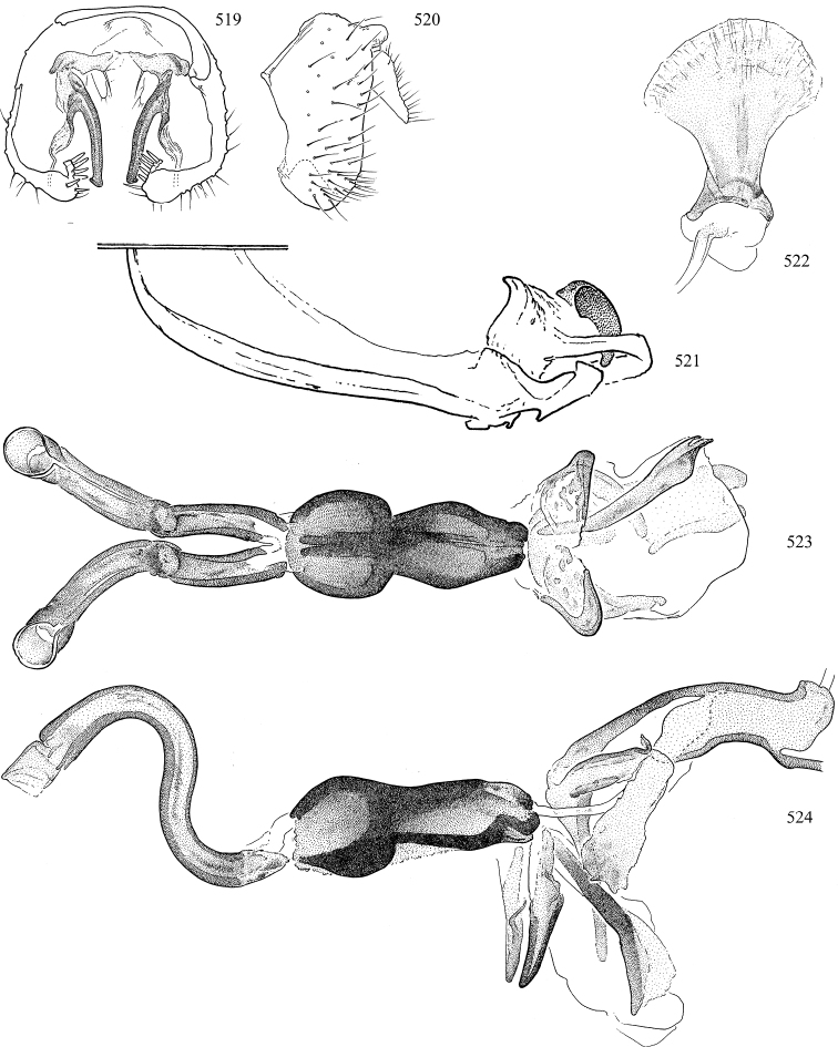 Figures 519–524.