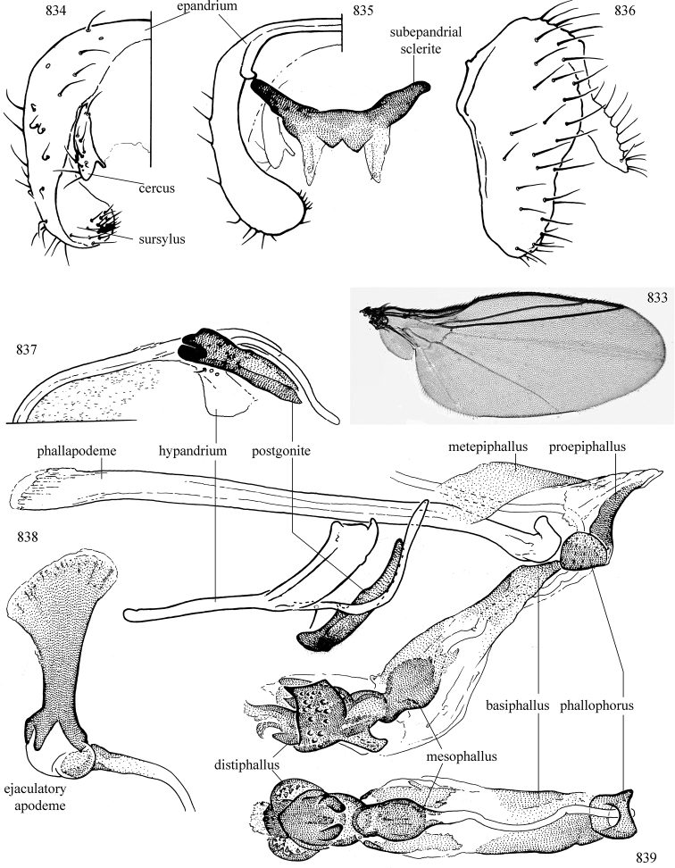 Figures 833–839.