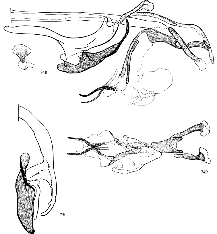 Figures 748–750.