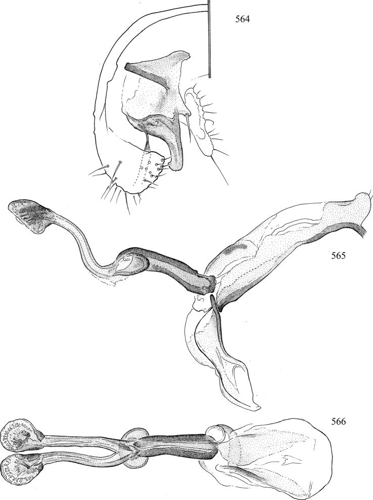 Figures 564–566.