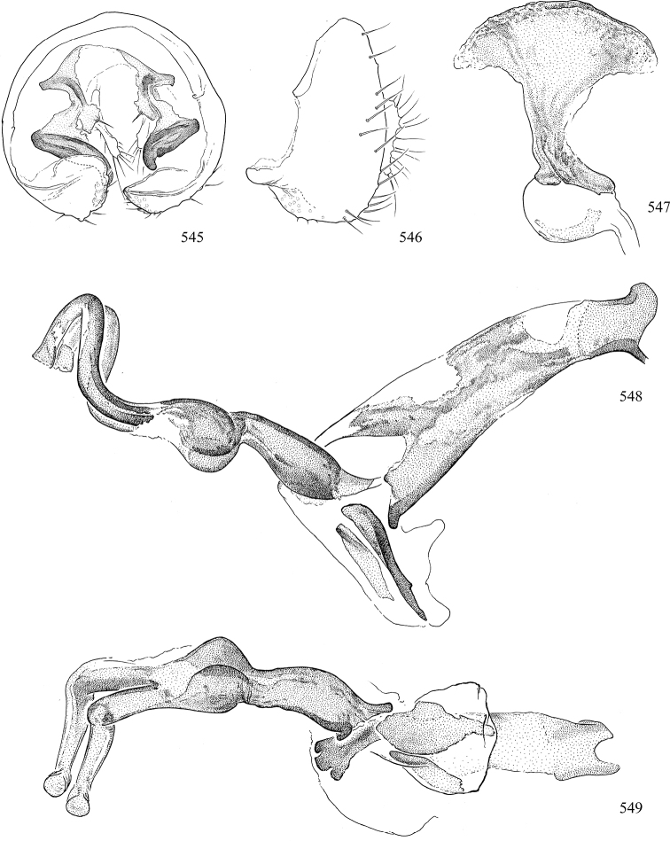 Figures 545–549.