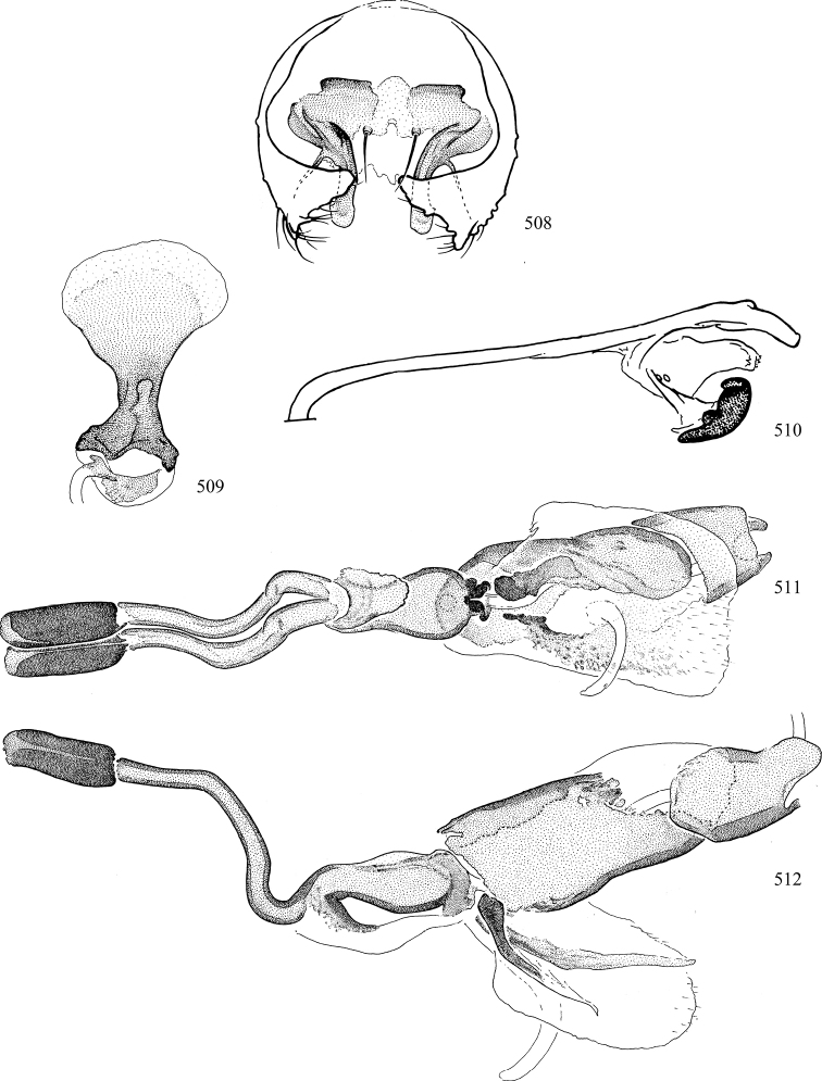 Figures 508–512.