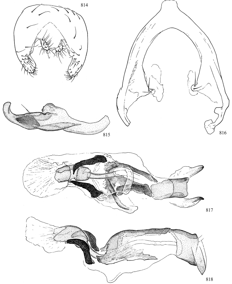 Figures 814–818.