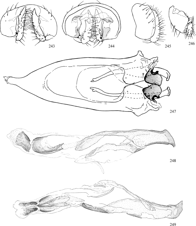 Figures. 243–249.