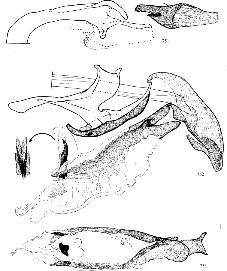 Figures 751–753.