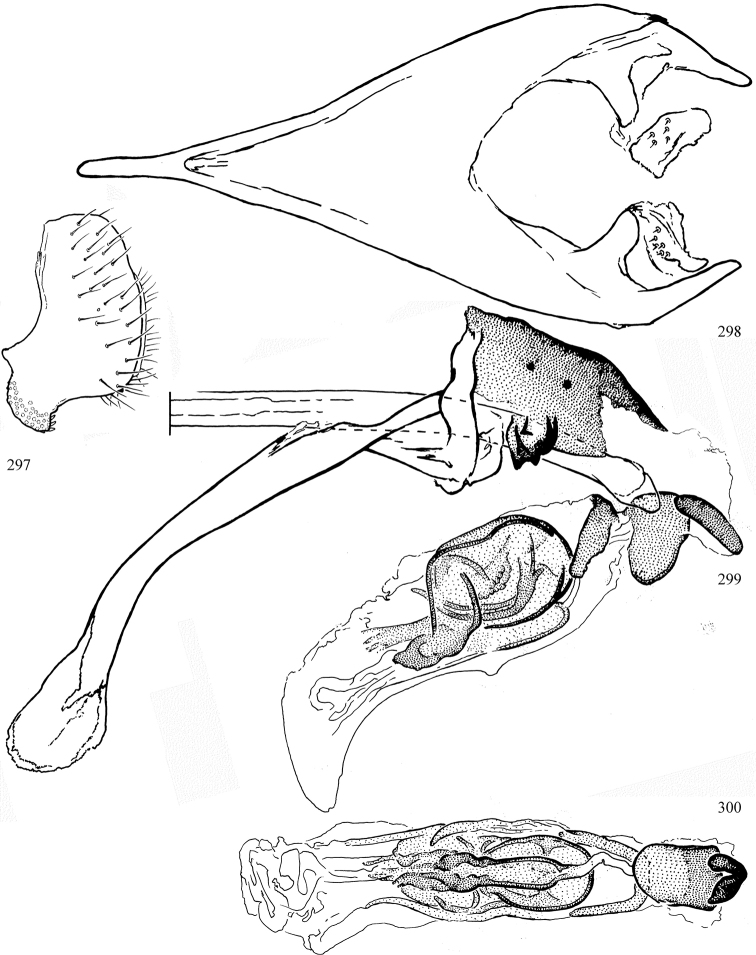 Figures 297–300.