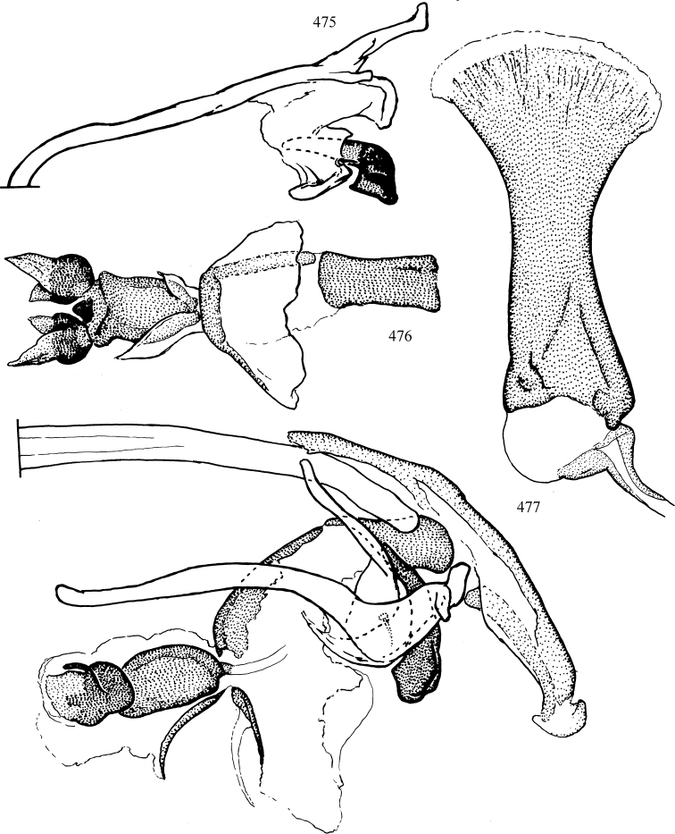 Figures 475–477.