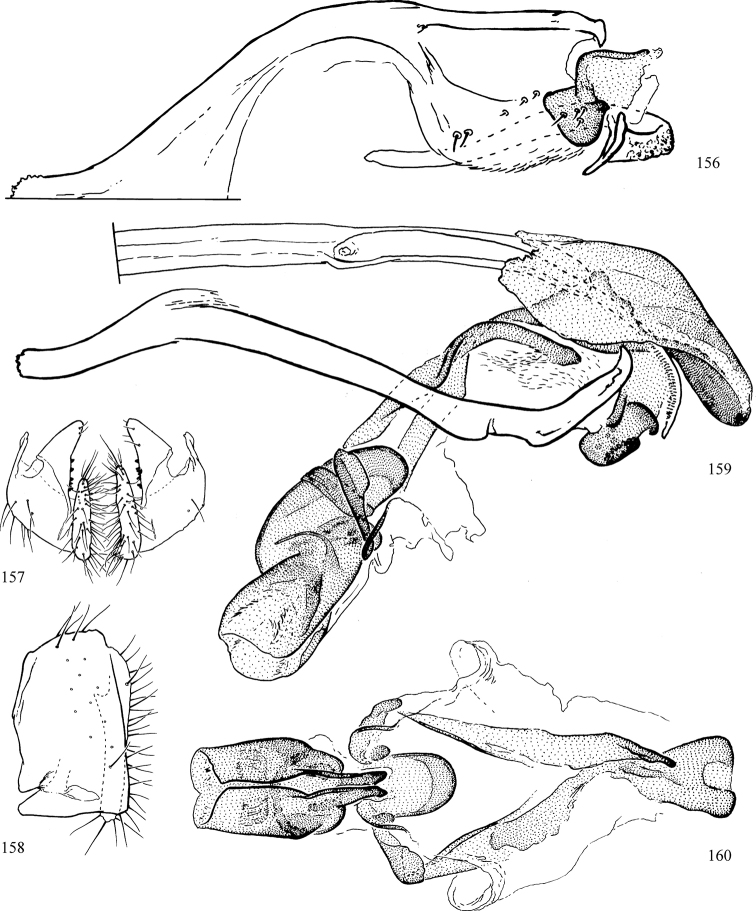 Figures 156–160.