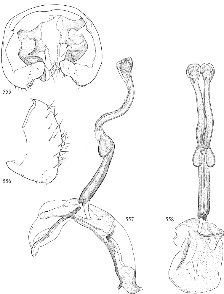 Figures 555–558.