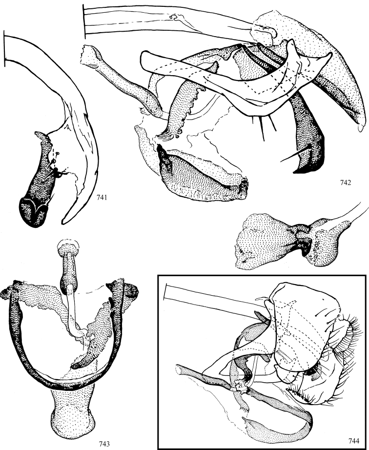 Figures 741–744.