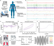 graphic file with name ADVS-10-2203485-g009.jpg