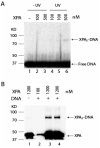 FIGURE 4: