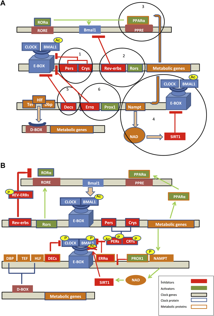 Figure 1