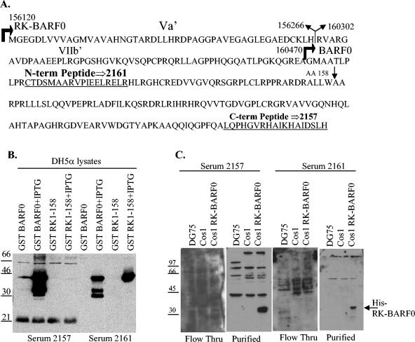 FIG. 6.