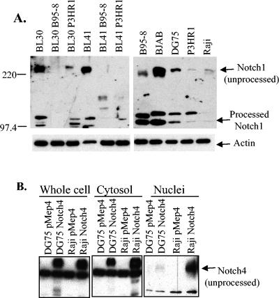 FIG. 5.