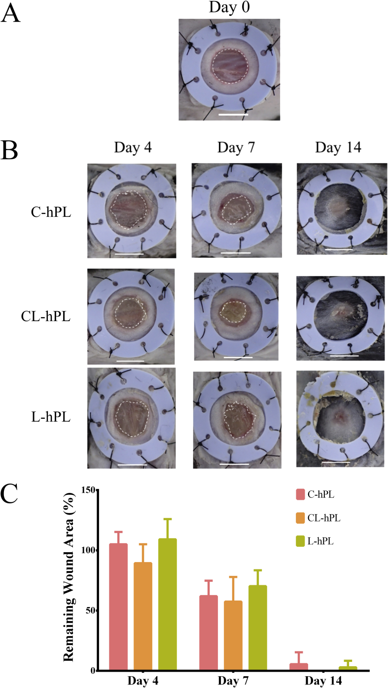 Fig. 3