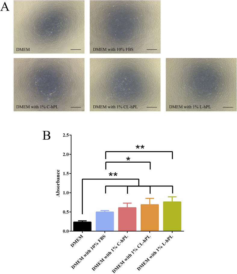 Fig. 2