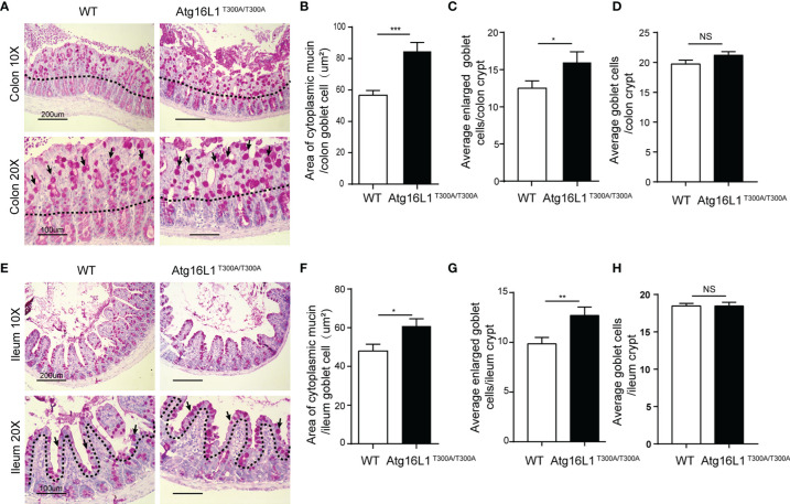 Figure 3