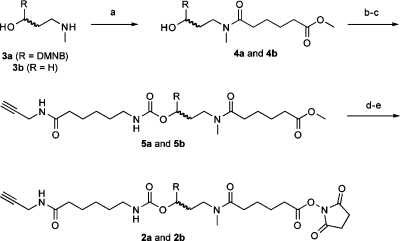 Scheme 1