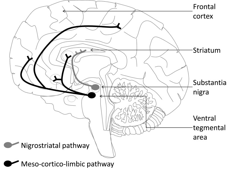 Fig. (2)