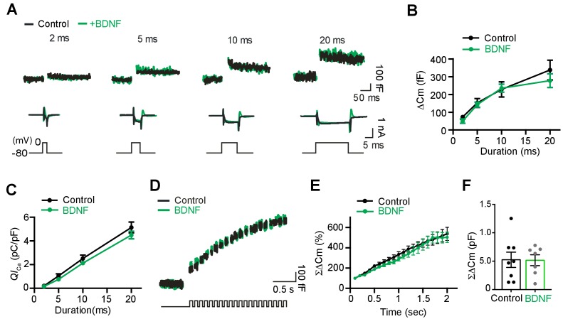 Figure 8—figure supplement 1.