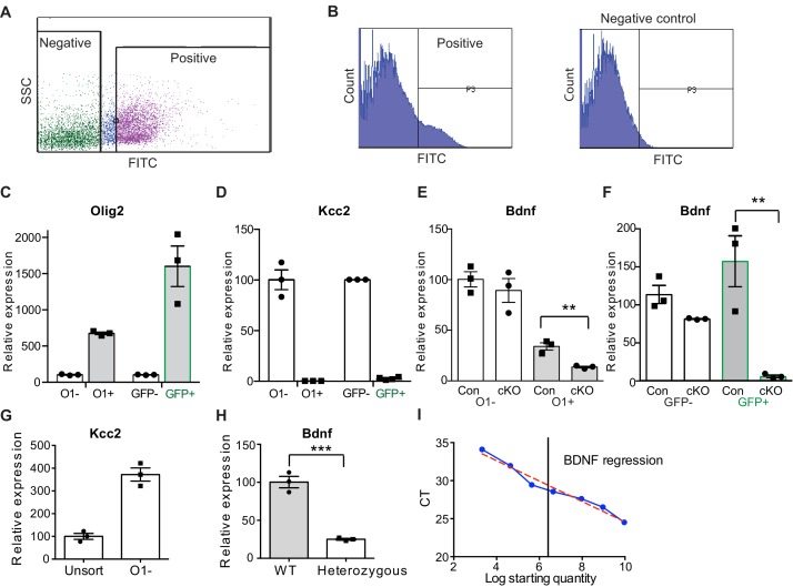 Figure 5—figure supplement 2.