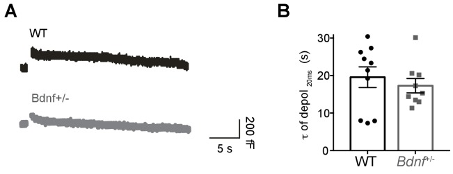 Figure 3—figure supplement 1.