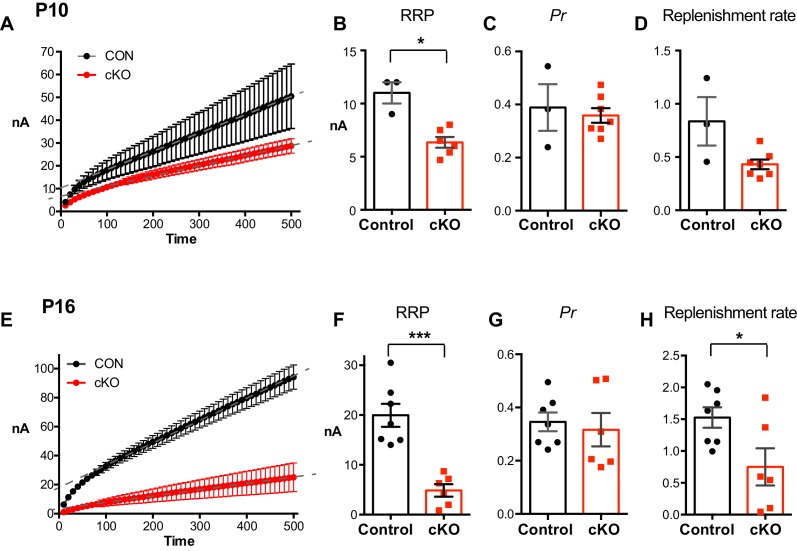 Figure 6—figure supplement 1.