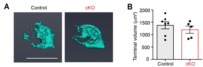 Figure 7—figure supplement 2.