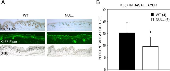 Fig 8