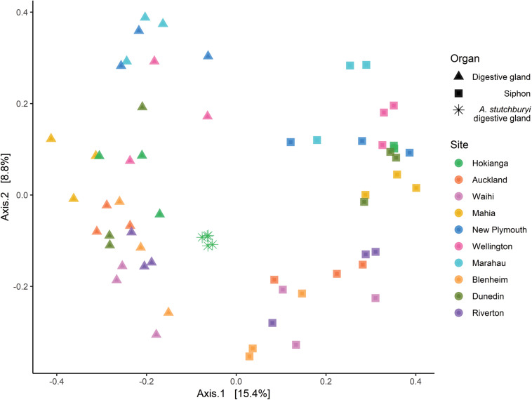 FIGURE 3