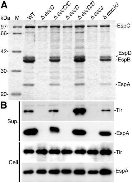 FIG. 6.