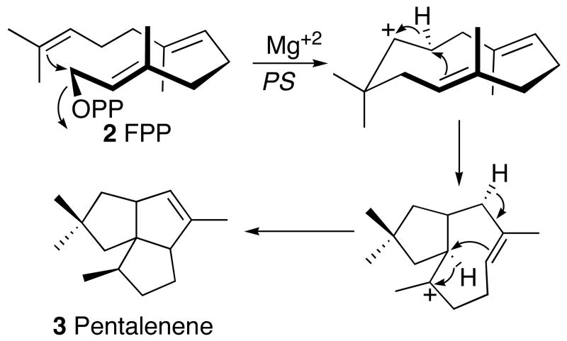 Scheme 3