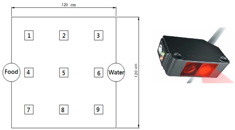 Figure 12