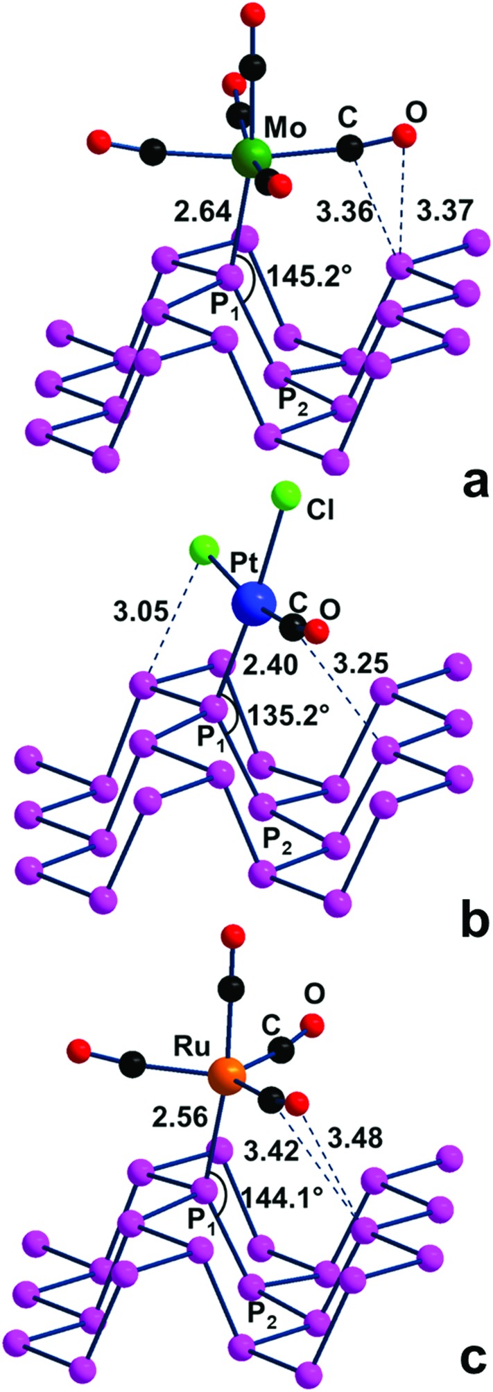 Fig. 10