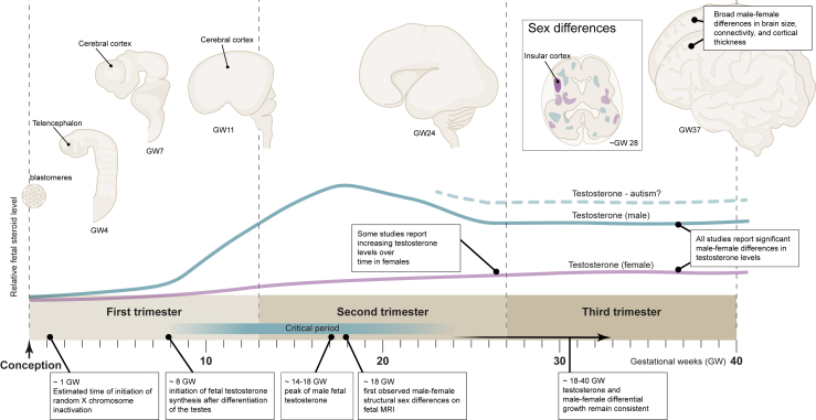 Figure 1