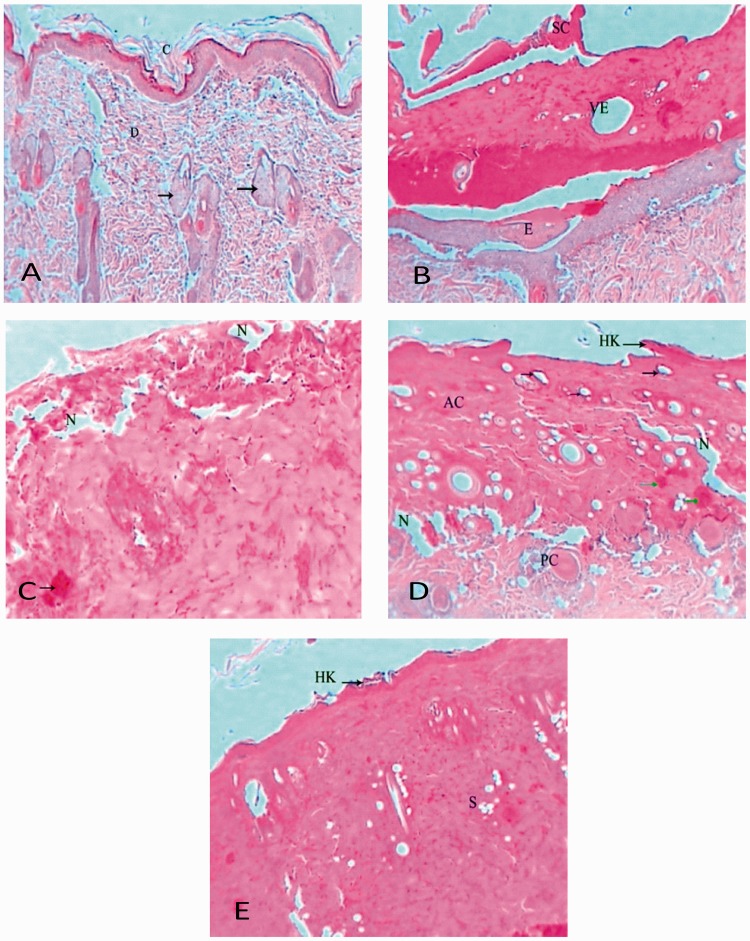 Figure 4.