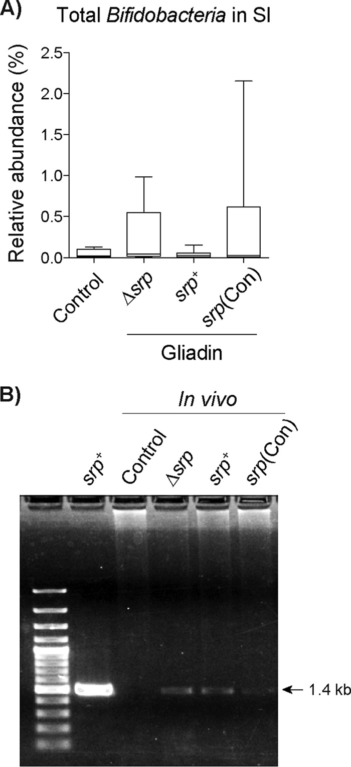 FIG 6