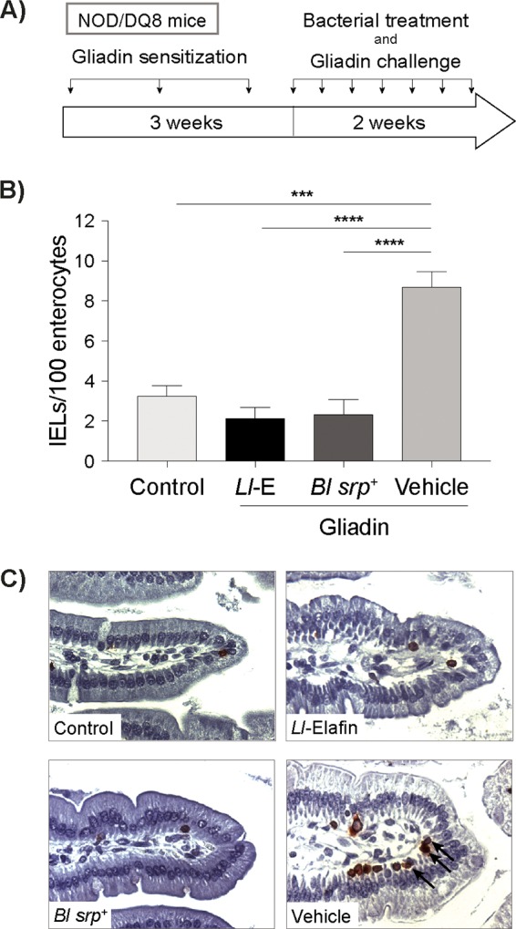 FIG 1