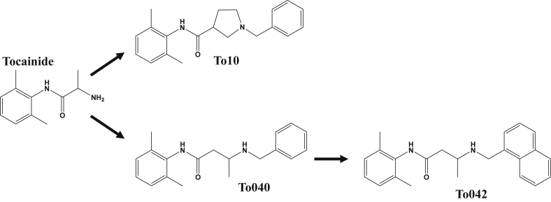 Fig. 1